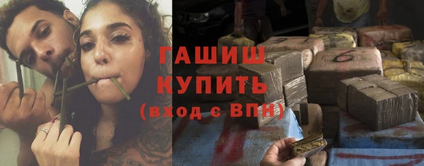 прущие грибы Апатиты