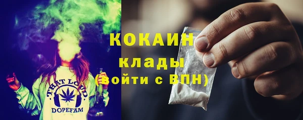 крисы Медвежьегорск