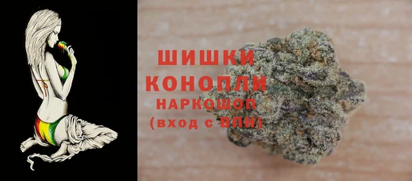 дмт Медногорск