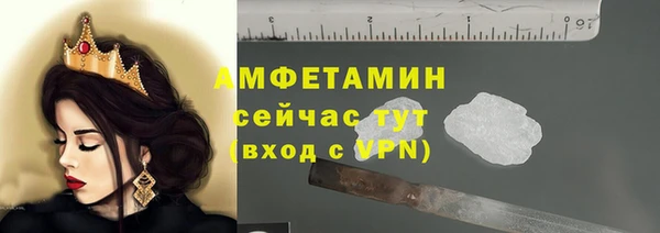 крисы Медвежьегорск