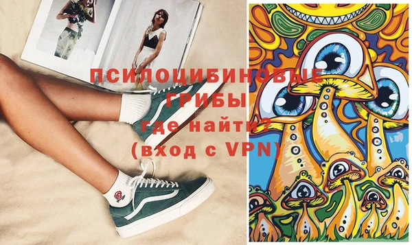 винт Магас