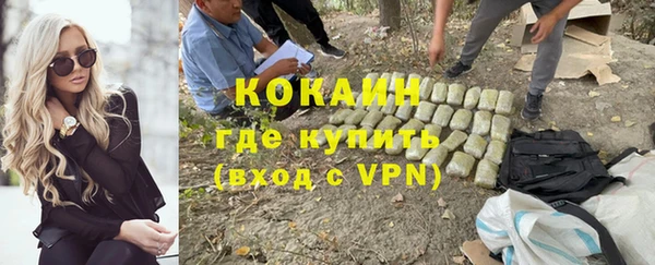 крисы Медвежьегорск
