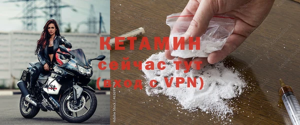 крисы Медвежьегорск
