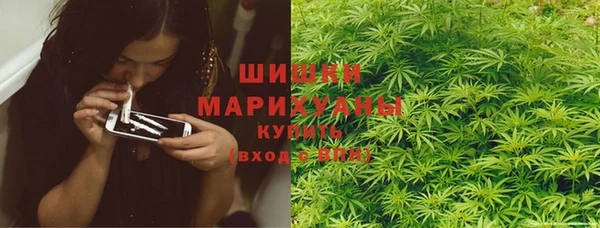 крисы Медвежьегорск