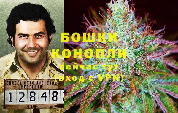 ECSTASY Майский
