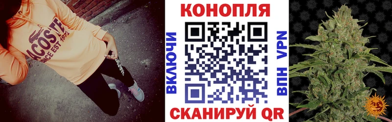 ссылка на мегу ссылка  Енисейск  Бошки марихуана OG Kush 
